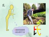 识字2 姓氏歌 趣味识字 生字教学课件PPT件