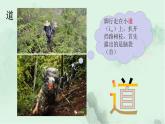 課文4 四個太陽 趣味識字 生字教學課件PPT