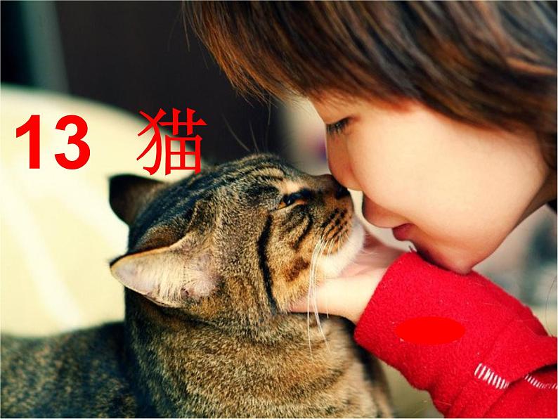 13猫（课件）-2021-2022学年语文四年级下册 (1)第1页