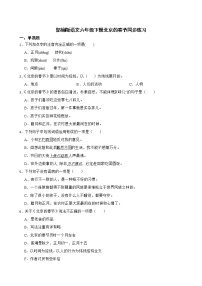 小学语文人教部编版六年级下册第一单元1 北京的春节当堂达标检测题