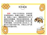 14蜜蜂（课件）-2021-2022学年语文三年级下册