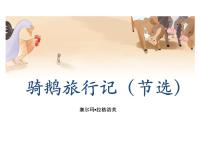 人教部编版六年级下册6* 骑鹅旅行记（节选）教学演示ppt课件