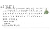 部编语文一下第四单元 10 端午粽 同步习题课件
