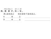 部编语文一下第四单元 11 彩虹 同步习题课件