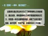 人教版（部编版）语文三年级下册：习作指导·我做了一项小实验课件PPT