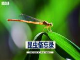 人教版（部编版）语文三年级下册：4昆虫备忘录(共50张PPT)