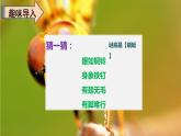 人教版（部编版）语文三年级下册：4昆虫备忘录(共50张PPT)