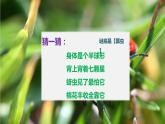 人教版（部编版）语文三年级下册：4昆虫备忘录(共50张PPT)