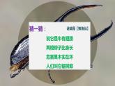 人教版（部编版）语文三年级下册：4昆虫备忘录(共50张PPT)