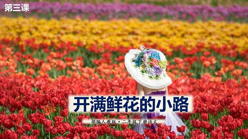 二年级下册语文课件-3开满鲜花的小路部编版(共60张PPT)01