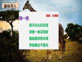 二年级下册语文课件-3开满鲜花的小路部编版(共60张PPT)