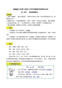 小学语文人教部编版三年级下册习作：我的植物朋友优秀学案设计