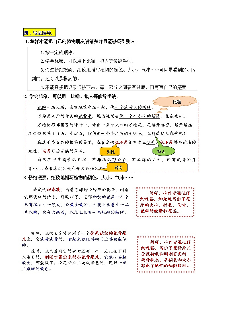 统编版三年级下册第一单元习作《我的植物朋友》名师指导和佳作点评学案03
