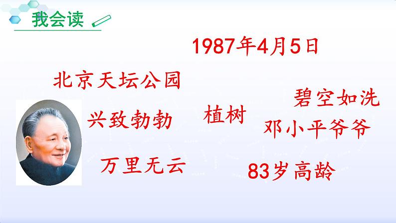 部编版语文二年级下册 4 邓小平爷爷植树课件PPT第5页