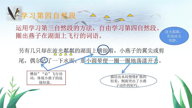 部编版语文三年级下册 2 燕子课件PPT07