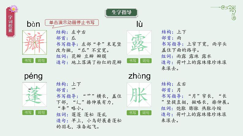 部编版语文三年级下册 3 荷花课件PPT08