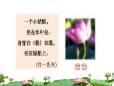 部编版语文三年级下册 3 荷花课件PPT