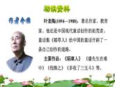 部编版语文三年级下册 3 荷花课件PPT