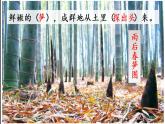 部编版语文四年级下册 2 乡下人家课件PPT
