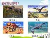 部编版语文四年级下册 6 飞向蓝天的恐龙课件PPT