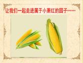 部编版语文五年级下册 2 祖父的园子课件PPT