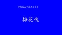 小学语文人教部编版五年级下册梅花魂教学演示课件ppt