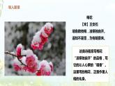 部编版语文五年级下册 4 梅花魂课件PPT