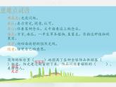 部编版语文五年级下册 2 祖父的园子课件PPT