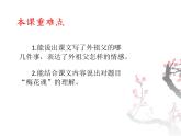 部编版语文五年级下册 4 梅花魂课件PPT