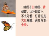 部编版语文五年级下册 2 祖父的园子课件PPT