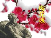 部编版语文五年级下册 4 梅花魂课件PPT
