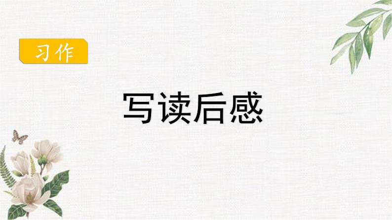 部编版语文五年级下册 习作：写读后感课件PPT03