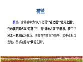 19.牧场之国课前预习课件