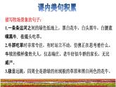 19.牧场之国拓展积累课件
