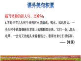 19.牧场之国拓展积累课件