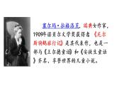 部编版语文六年级下册 6 骑鹅旅行记（节选）课件PPT