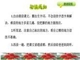 21.杨氏之子初读感知课件