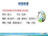 23.童年的发现拓展积累课件
