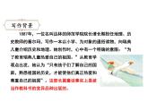 六年级下册语文课件-6.骑鹅旅行记-人教部编版