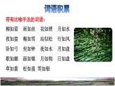 4.三月桃花水拓展积累课件