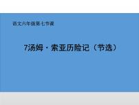 小学语文人教部编版六年级下册第二单元7* 汤姆·索亚历险记（节选）图片课件ppt