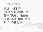 部编版语文六年级下册 7 汤姆-索亚历险记（节选）课件PPT