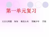 部编版六年级下学期语文各单元总复习课件PPT