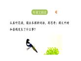 统编版语文一年级（下）第3单元《树和喜鹊》课时1课件PPT