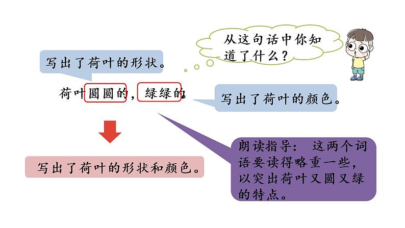 统编版语文一年级（下）第6单元13《荷叶圆圆》2课件PPT第3页