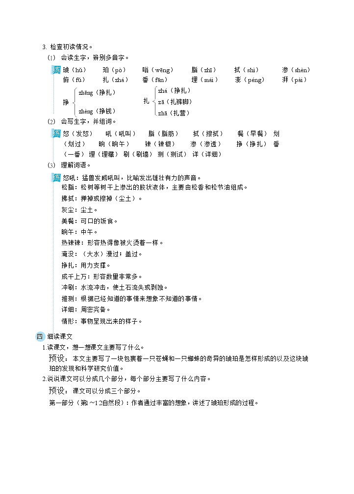5琥珀（教案）第2页