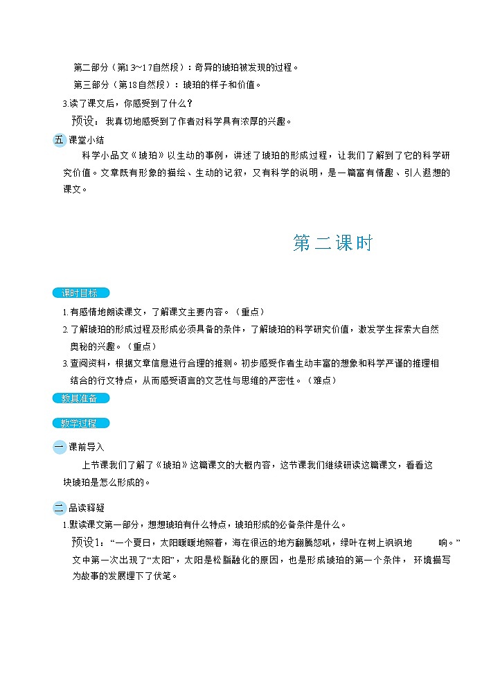 5琥珀（教案）第3页