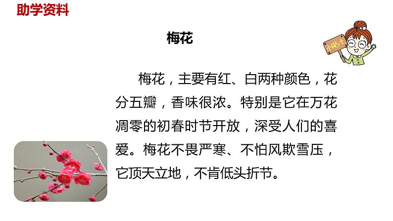 语文统编五（下）第1单元4《梅花魂》第3页