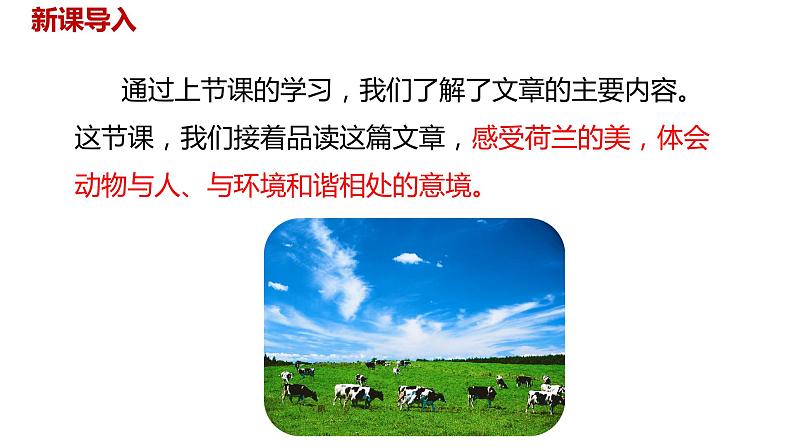 语文统编五（下）第7单元19《牧场之国》课时2第2页