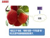 语文统编五（下）第8单元21《杨氏之子》课件PPT